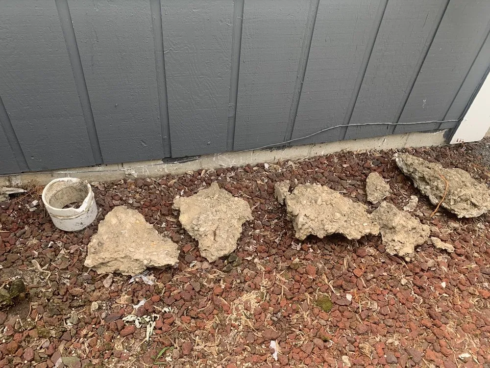 Slide of Neighborhood Rooter Express