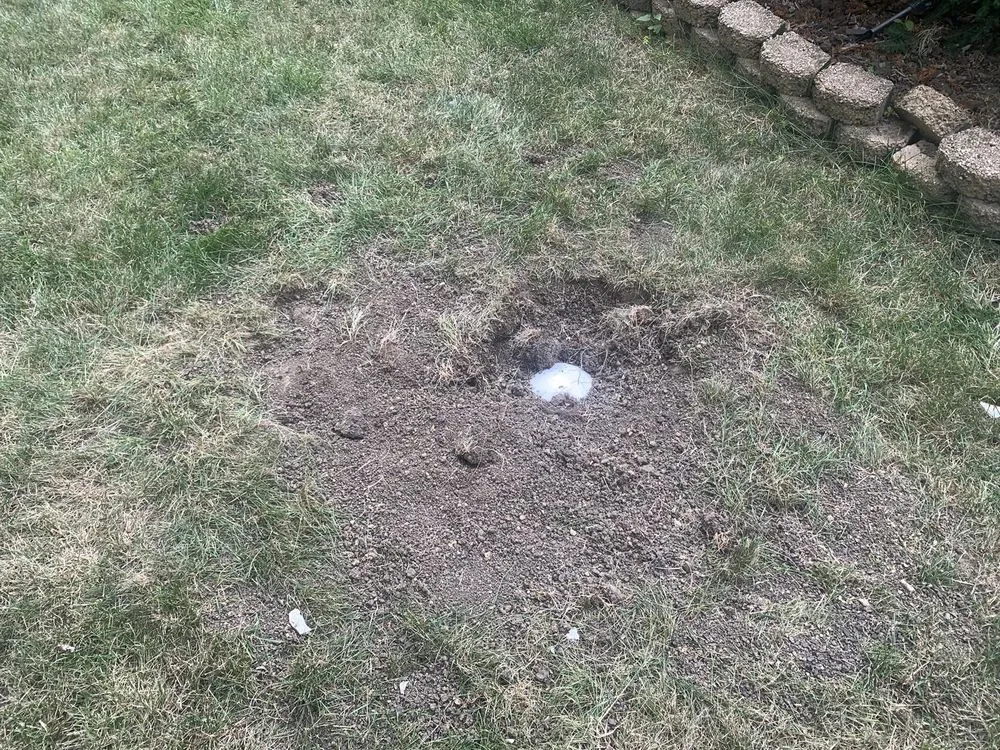 Slide of Neighborhood Rooter Express