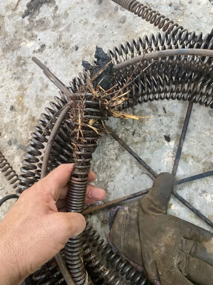 Slide of NeNe's Drain Cleaning & Plumbing Repairs