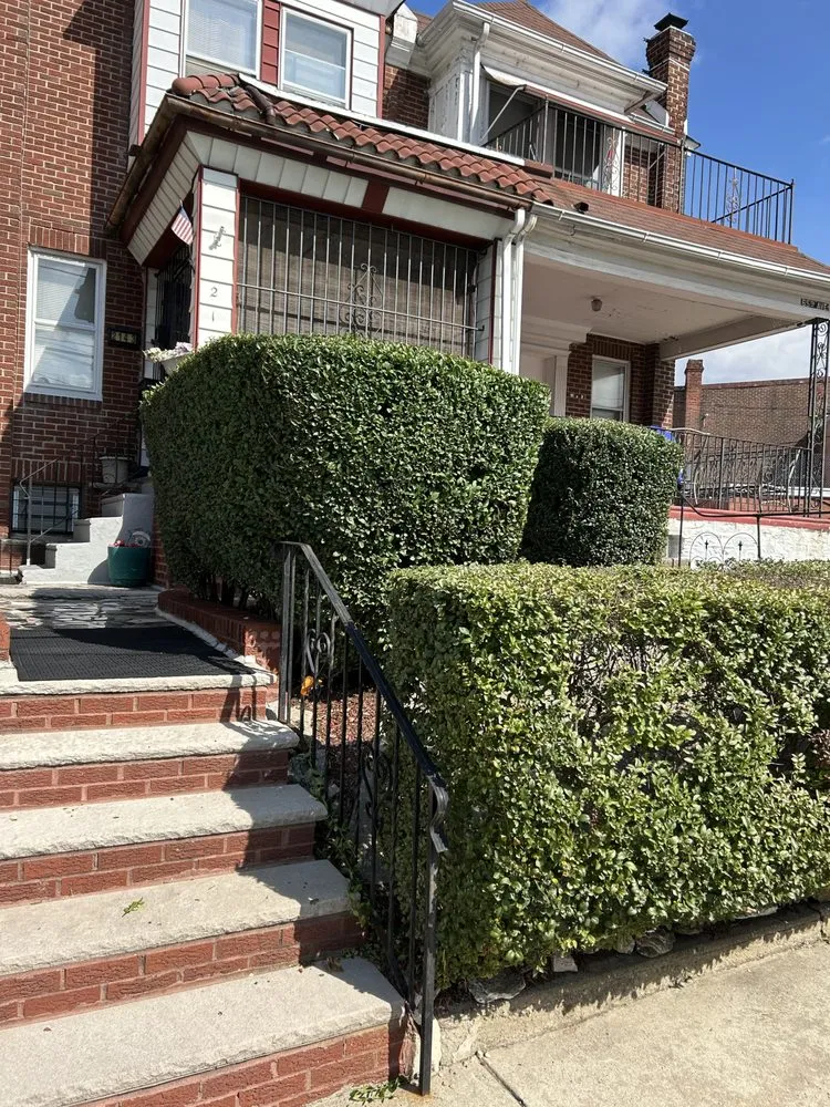 Slide of Nephewz Construction