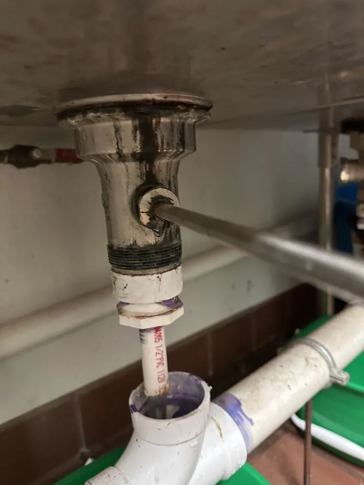 Slide of Nest The Plumber