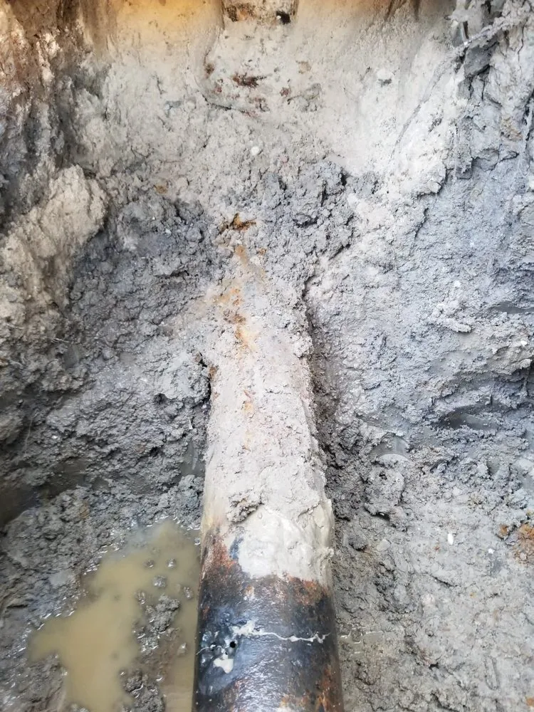 Slide of Nestor's Plumbing