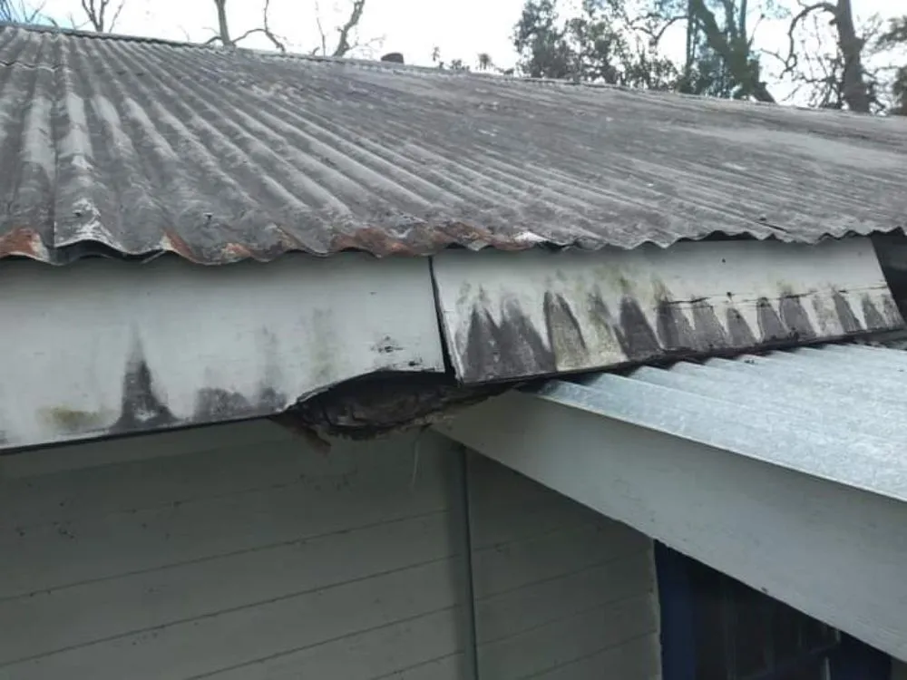 Slide of Nettles Services