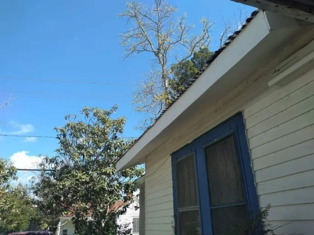 Slide of Nettles Services