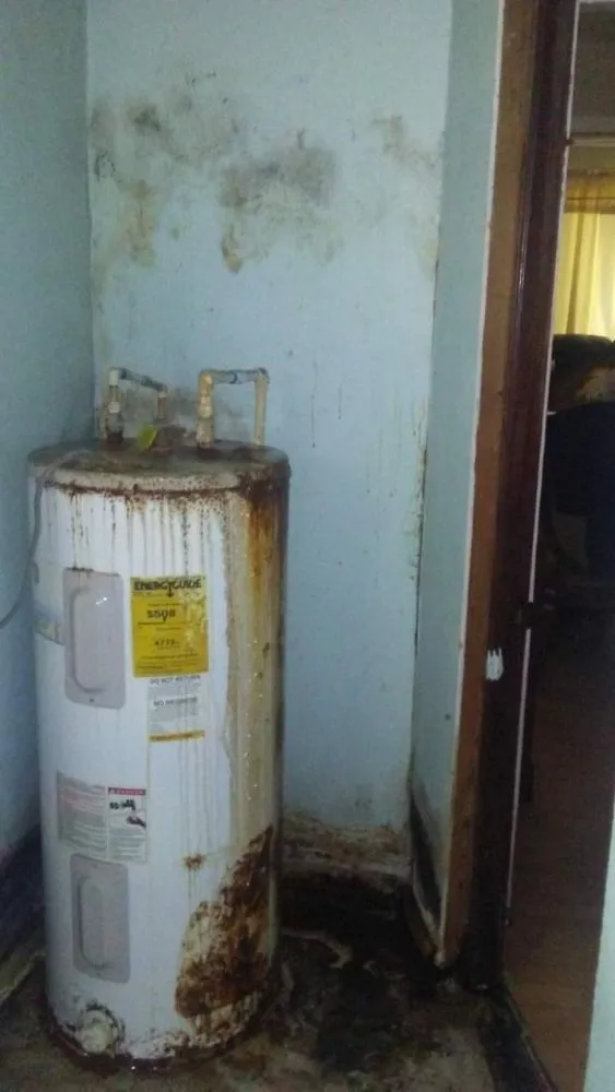 Slide of Nettles Services