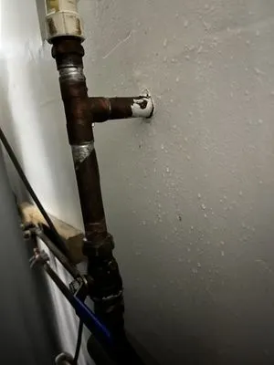 Netzel Plumbing Logo