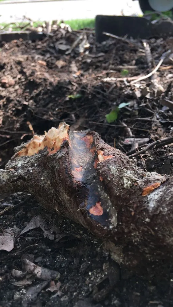 Slide of Nevitt Irrigation Services