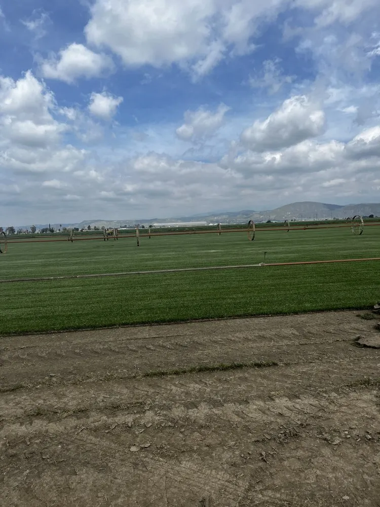 Slide of New Beginnings Landscaping