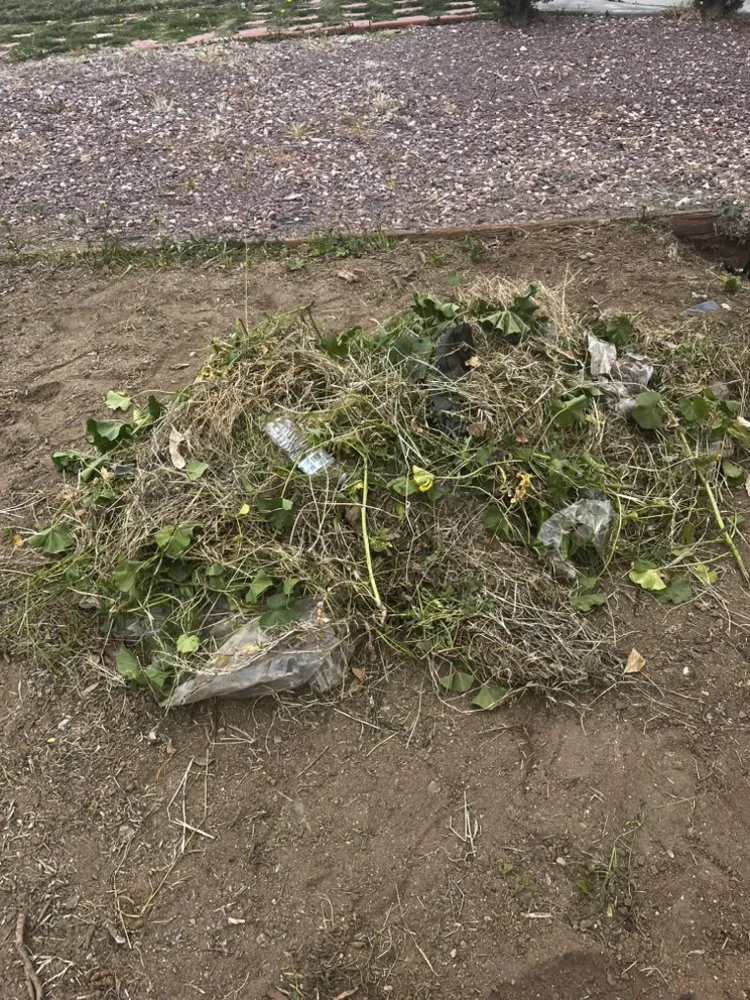 Slide of New Beginnings Landscaping