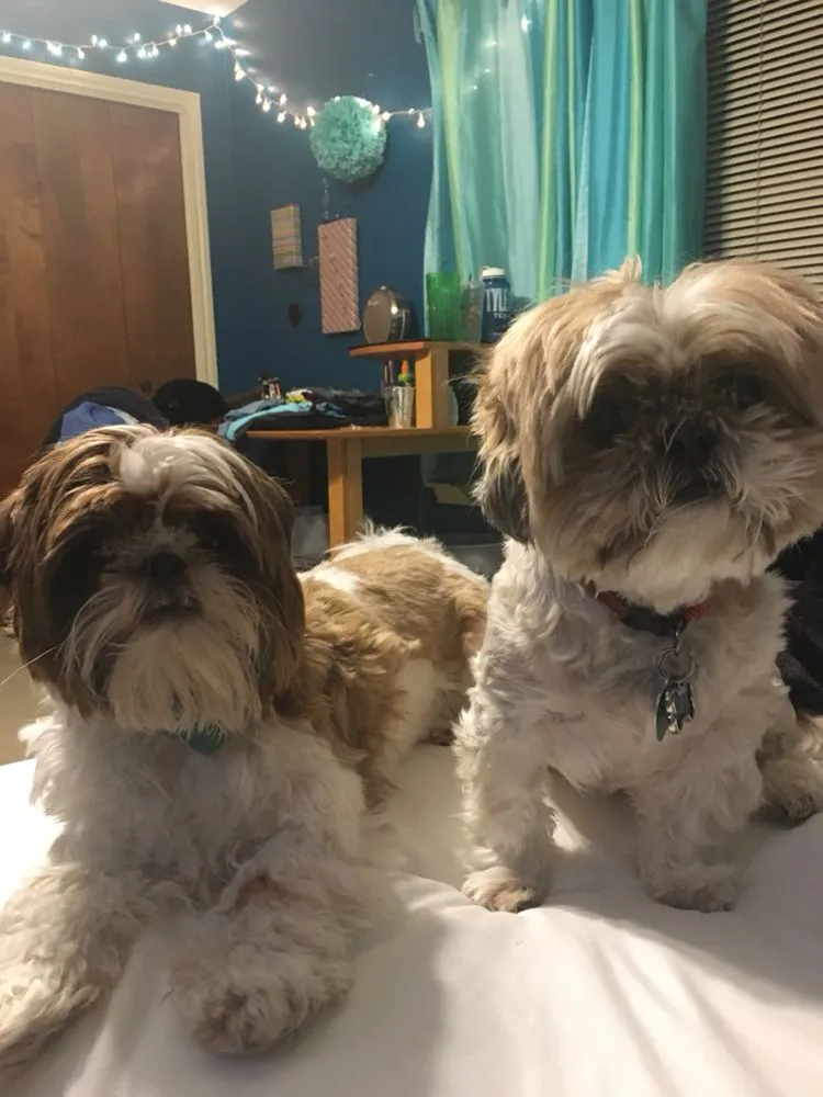 Slide of New Earth Plumbing