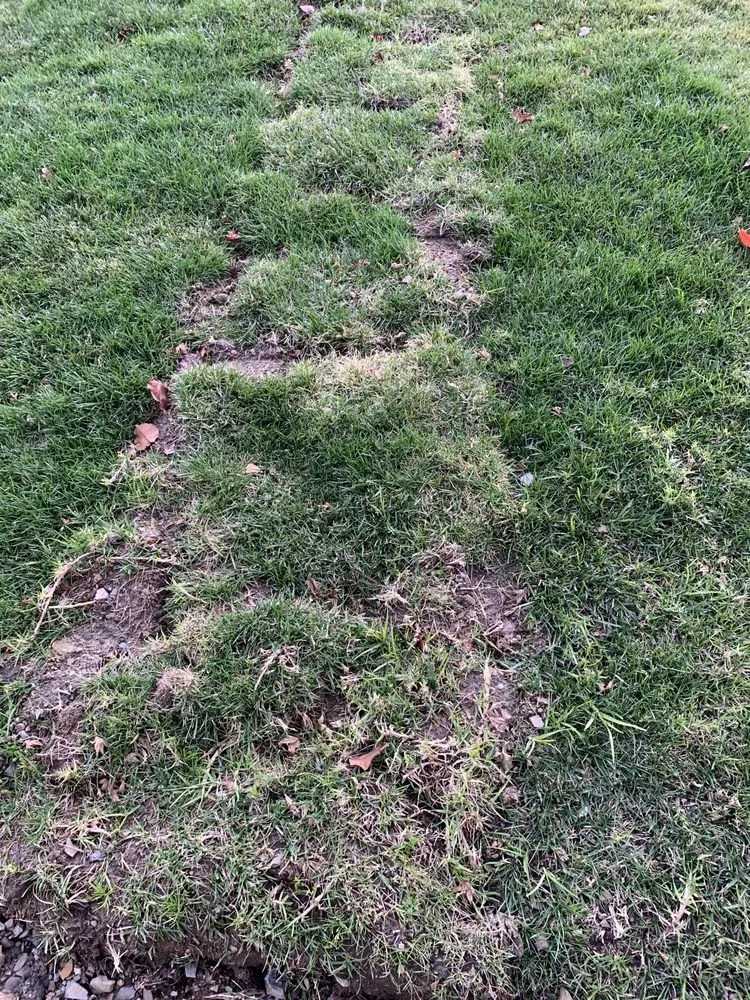 Slide of New Era Rooter & Plumbing