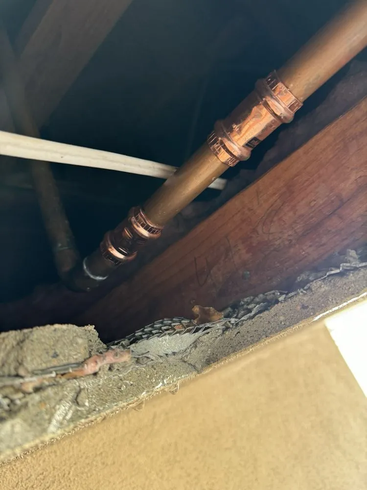 Slide of New Era Rooter