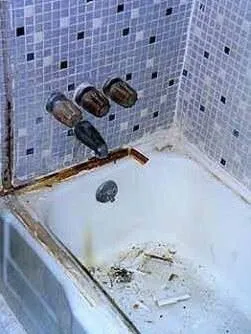 Slide of New Touch Restoration