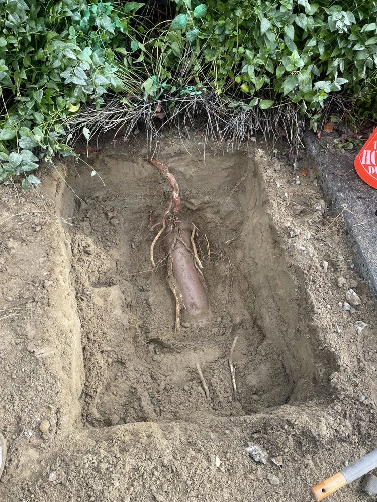 Slide of Newline pipe solutions