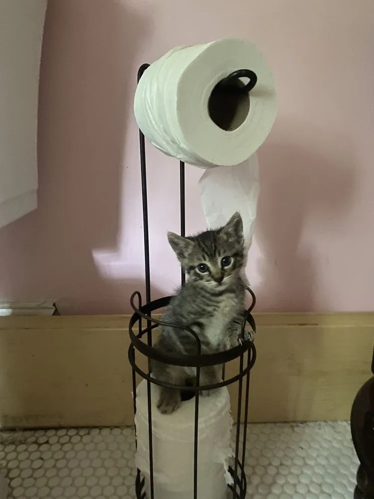 Slide of Newline pipe solutions