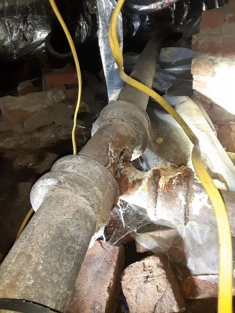 Trusted leak detection in Portsmouth, VA by Newman's Plumbing Service & Repair