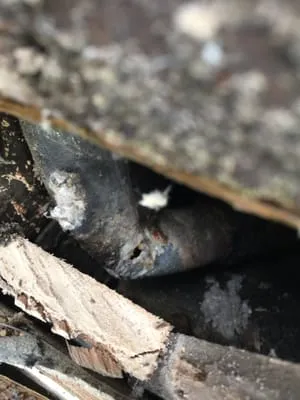 Newman's Plumbing Service & Repair