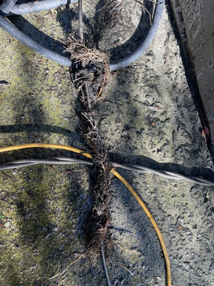 Slide of Newport - Mesa Drains