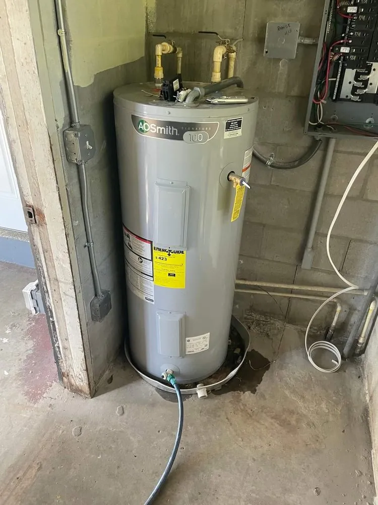 Slide of Newt Handyman