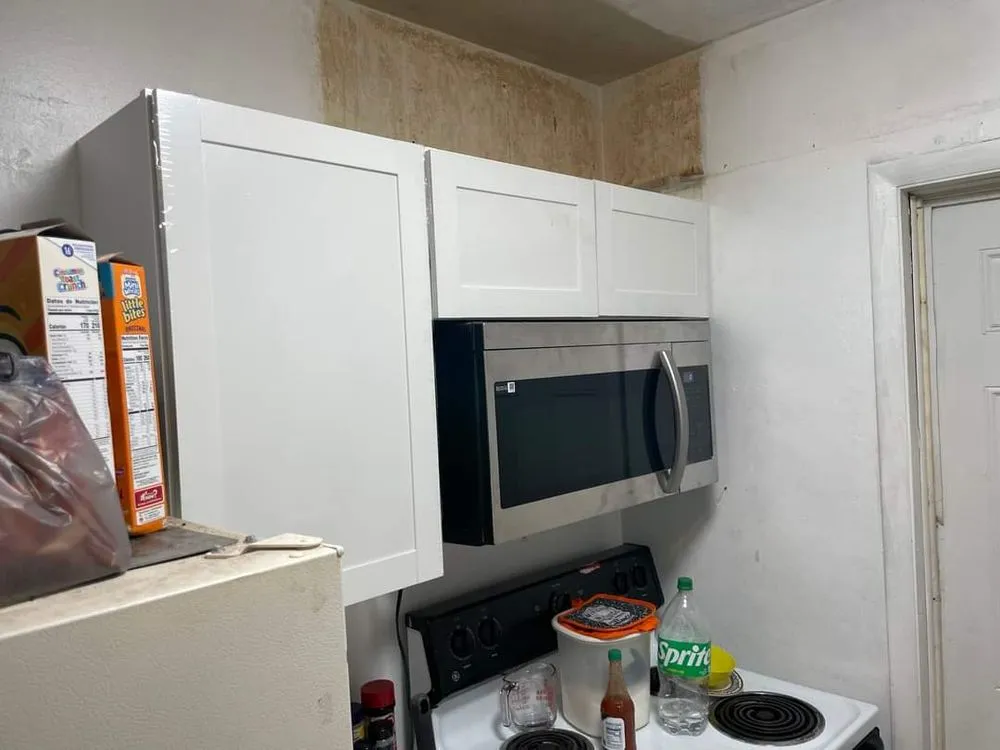 Slide of Newt Handyman