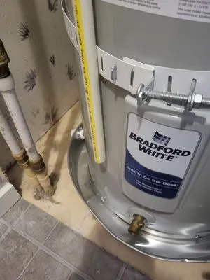 Newton's Plumbing Logo