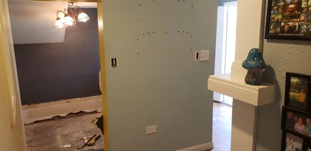 Slide of Nex-gen Repairs