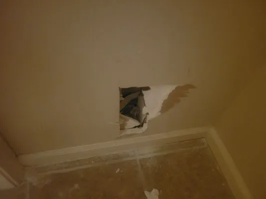 Next level plumbing Logo