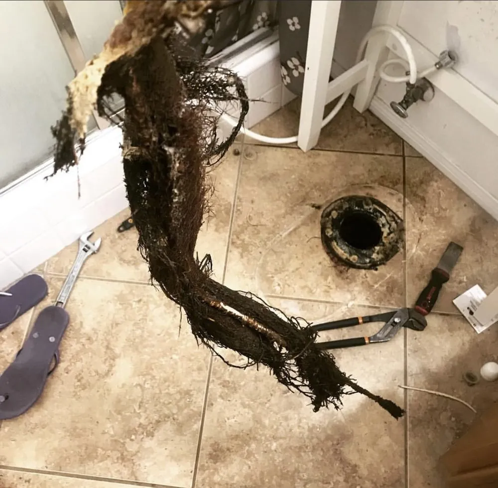 Slide of Next Level Plumbing