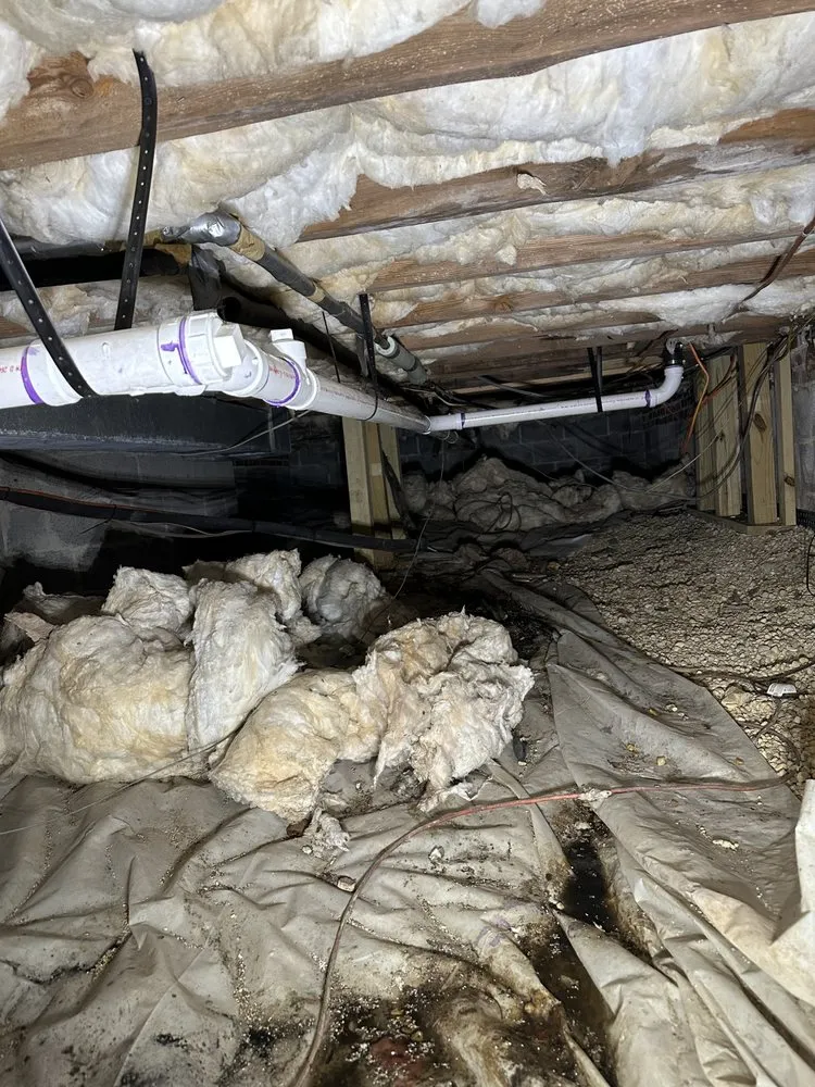 Slide of Next Level Plumbing Services