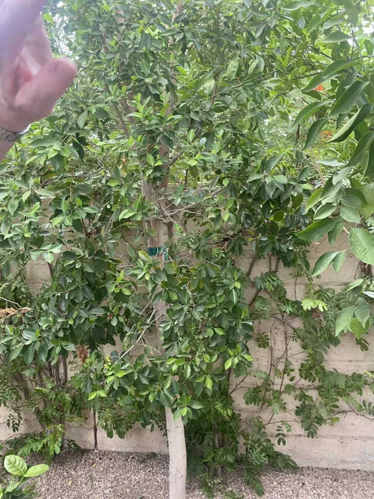 Top-rated leak detection in Fontana, CA by Next level services