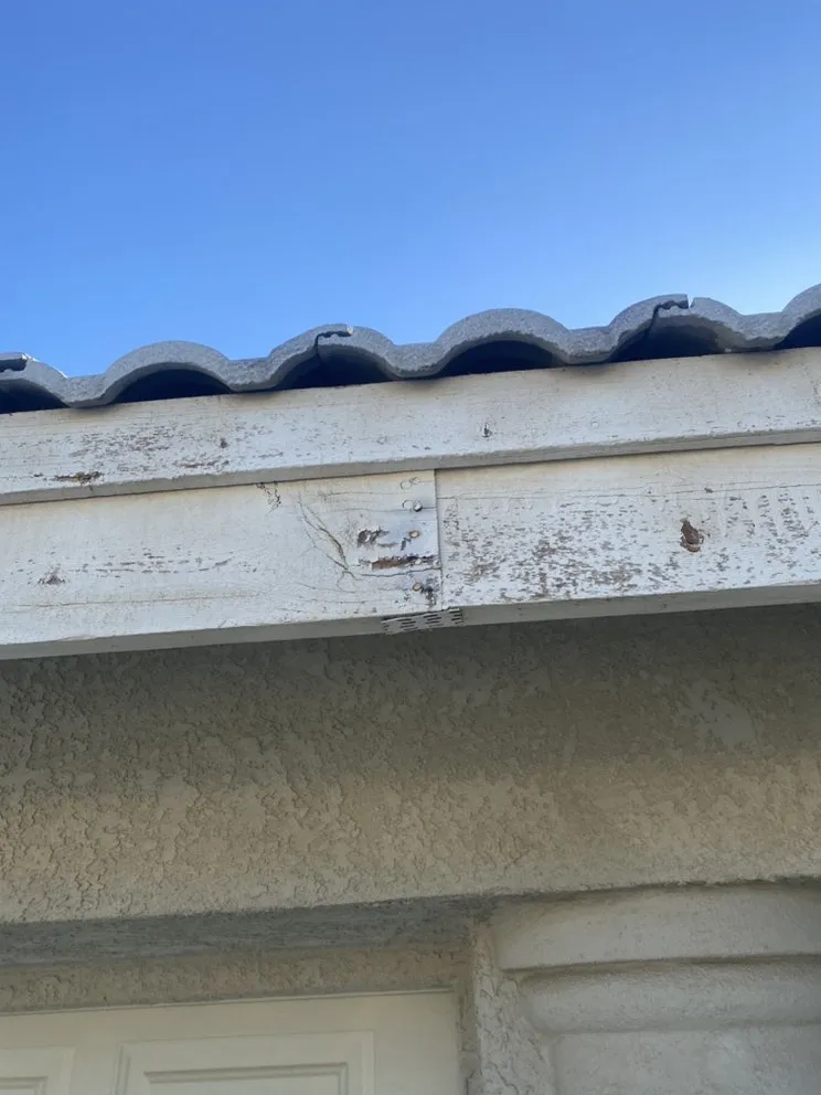 Slide of Next level services