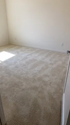 Next level services Logo