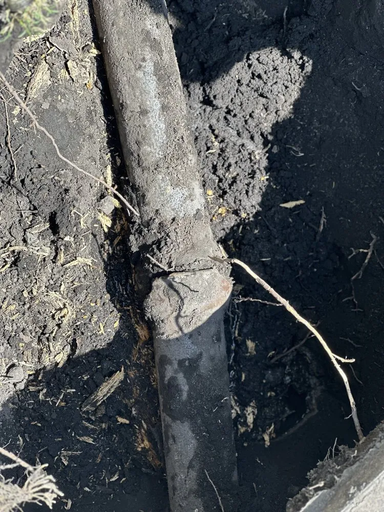 Slide of Next Lvl Sewer Specialist