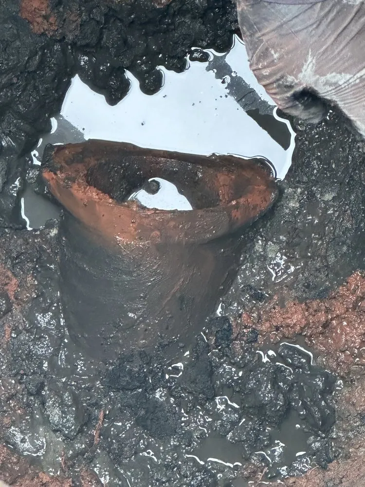 Slide of Next Lvl Sewer Specialist