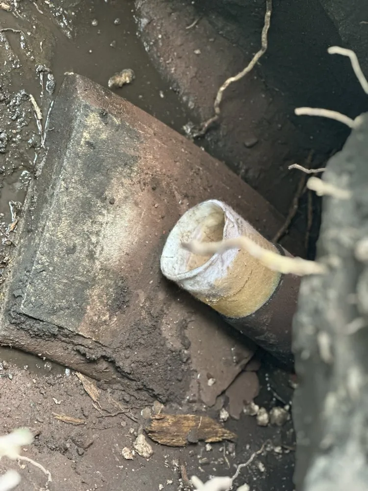 Slide of Next Lvl Sewer Specialist