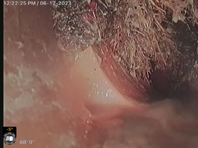 Affordable drain cleaning service in Phoenix, AZ - Next Lvl Sewer Specialist