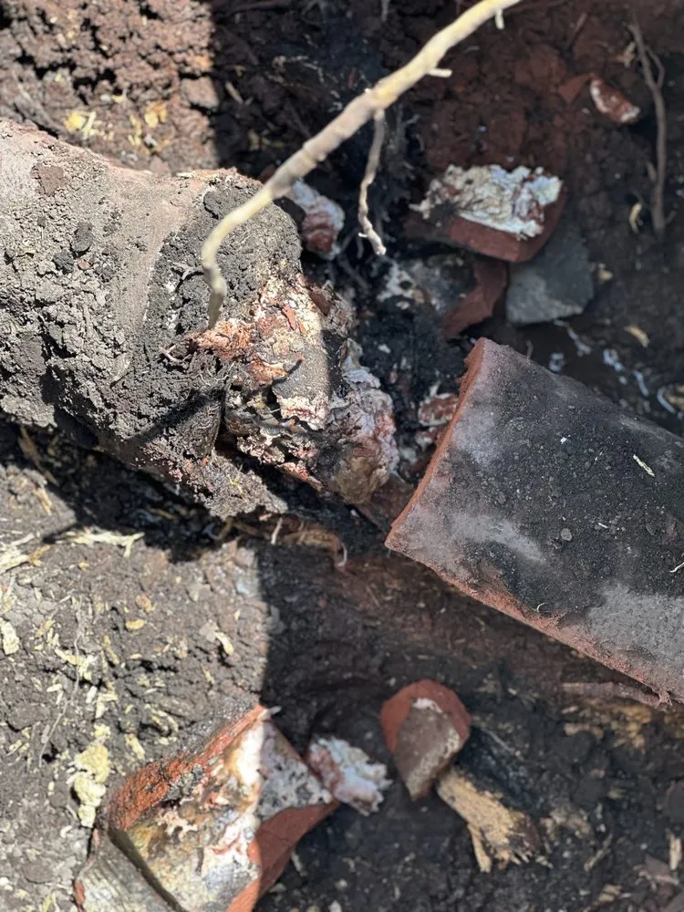 Slide of Next Lvl Sewer Specialist