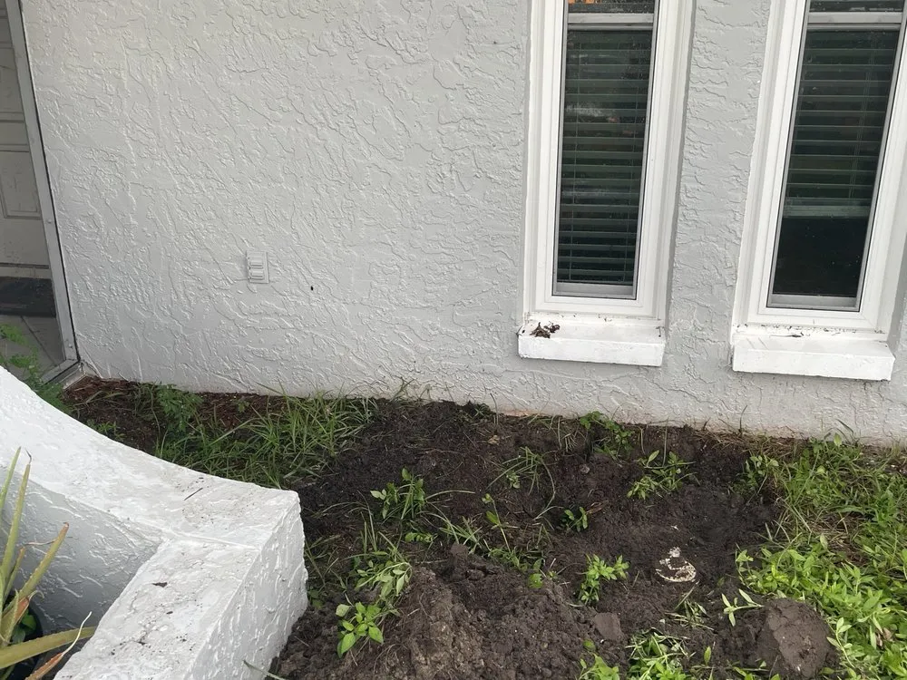 Slide of Next Plumbing