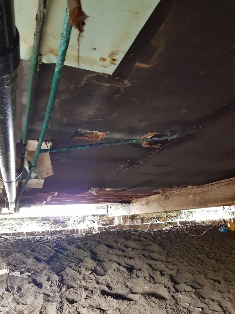 Slide of NIC Plumbing