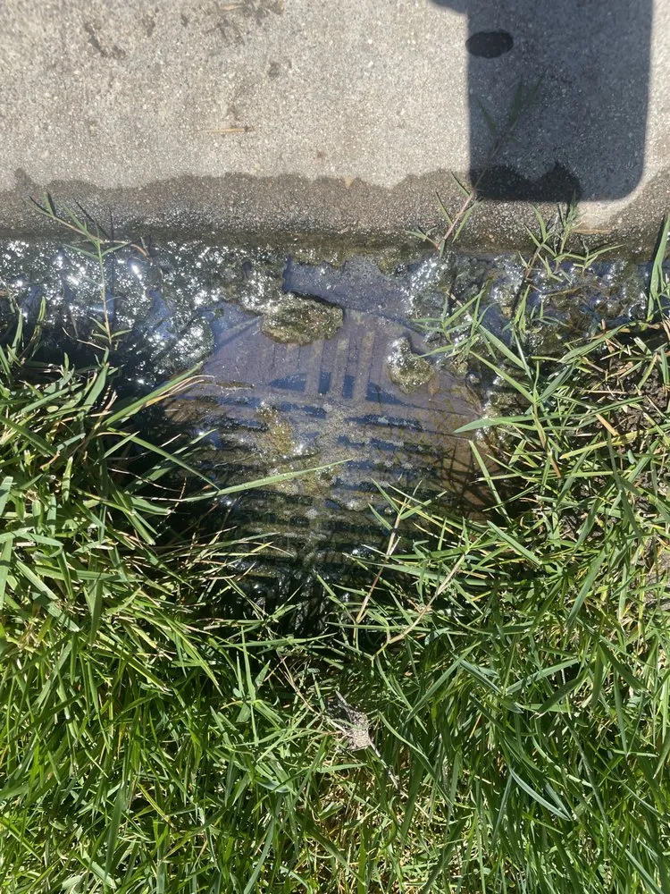 Slide of Nicks Drain Service and Plumbing