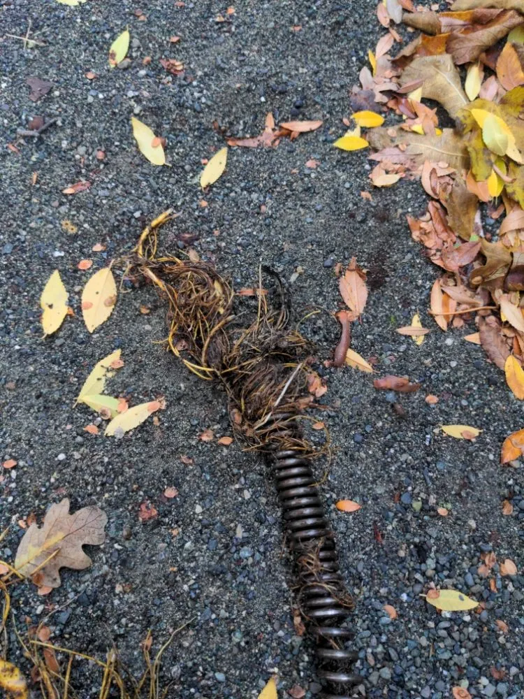 Slide of Nick's Quick Fix