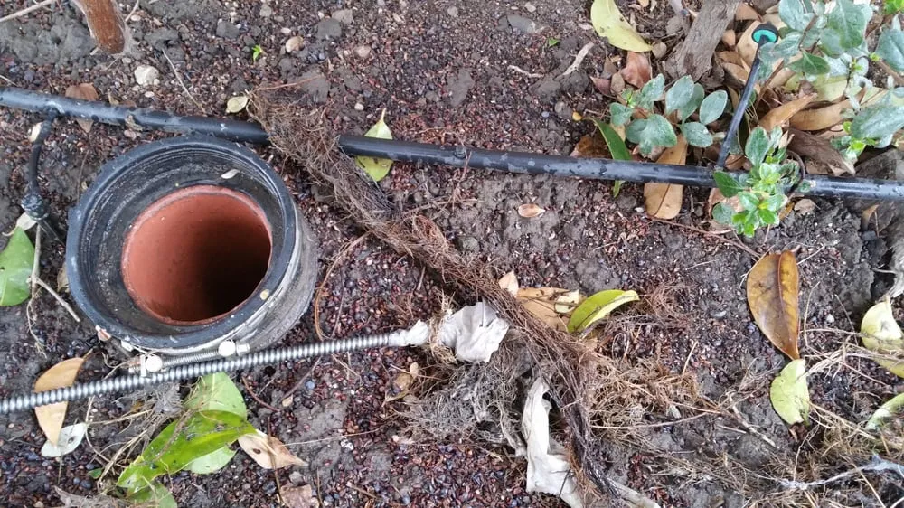 Slide of Nick's Quick Fix