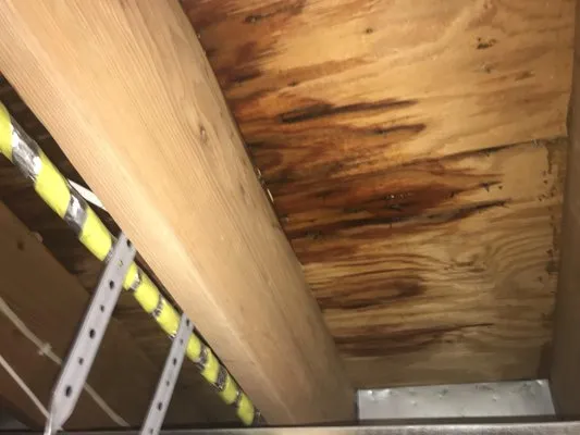 Nickson Home Serivces