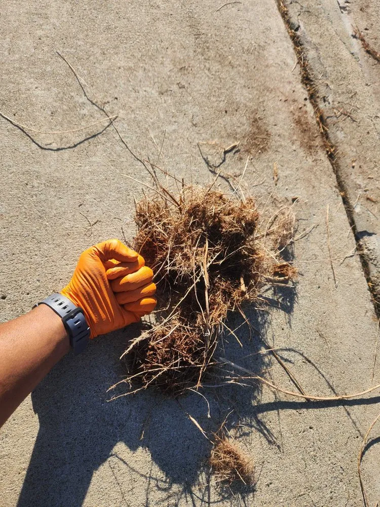 Slide of Nido Plumbing