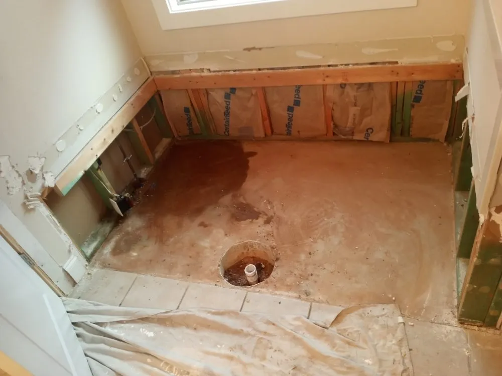 Slide of Nigel C Taylor