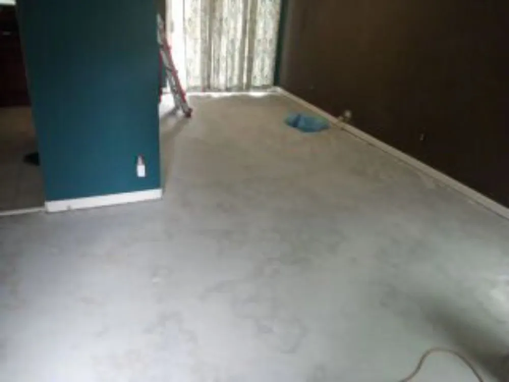 Slide of Nigel C Taylor