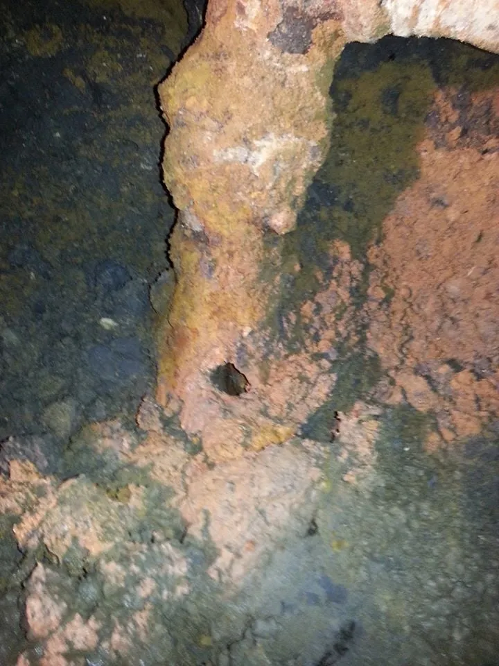 Slide of Nikki's Plumbing Company