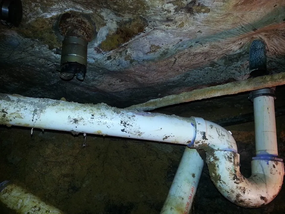 Reliable pipe repair service in Euless, TX - Nikki's Plumbing Company