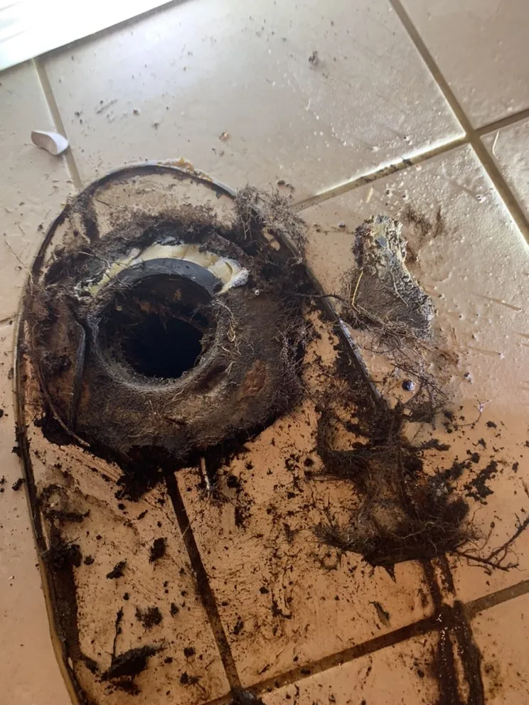 Slide of Niko’s Plumbing Zone