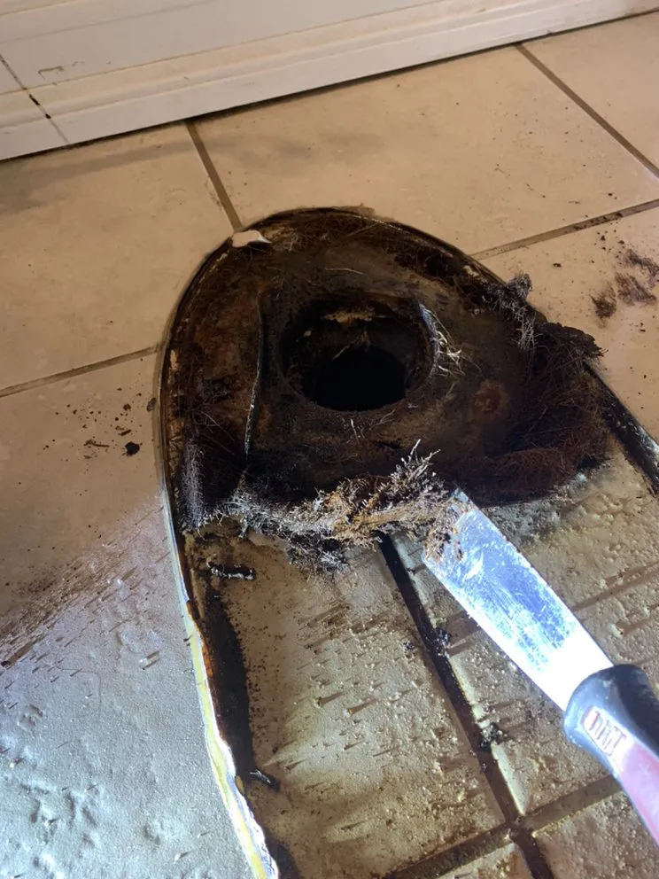 Top-rated drain cleaning for homes in Lawndale, CA by Niko’s Plumbing Zone